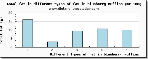 fat in blueberry muffins total fat per 100g